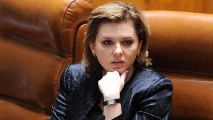 Oltean: PDL exclude orice fel de discuţie pe tema schimbării din funcţie a Robertei Anastase